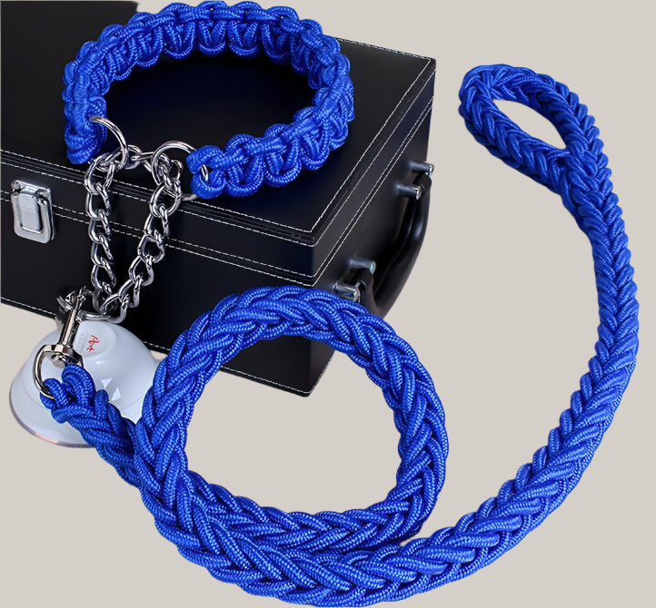 Everyday Dog Collar Blue