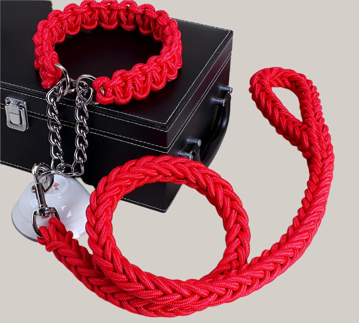Everyday Dog Collar Red