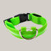 Luminous Dog Collar with ID Tag Green