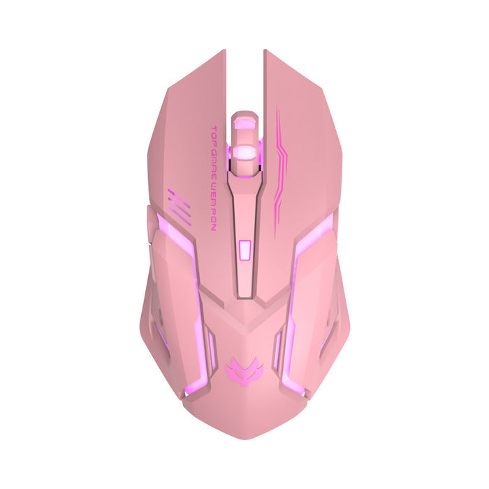 Charging Silent Gaming Mouse