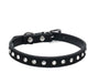 Comfort-Fit Dog Collar Black