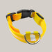 Luminous Dog Collar with ID Tag Yellow
