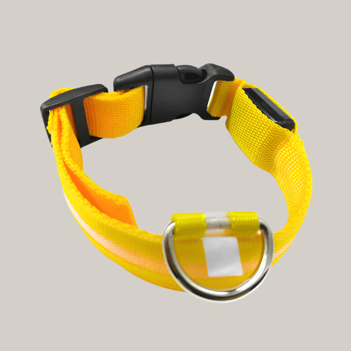Luminous Dog Collar with ID Tag Yellow