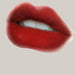 Lip Lacquer – 6 Shades No 6 Color