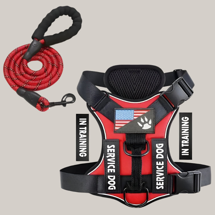 Dog Chest Harness and Leash Set
