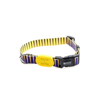 Colorful series of dog collar