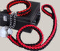 Everyday Dog Collar Black Red