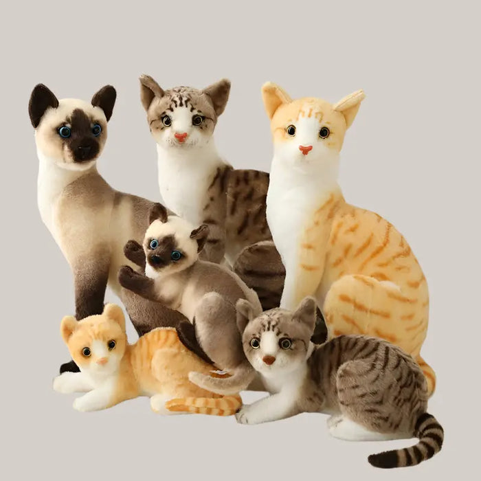 Cat Plush Toys