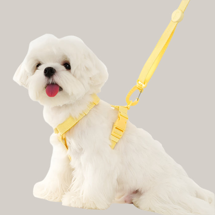 Korean Version Of Pet Macaron H-type Collar Chest Back Lead Rope