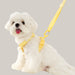 Korean Version Of Pet Macaron H-type Collar Chest Back Lead Rope
