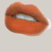Lip Lacquer – 6 Shades No 4 Color