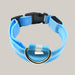 Luminous Dog Collar with ID Tag Blue