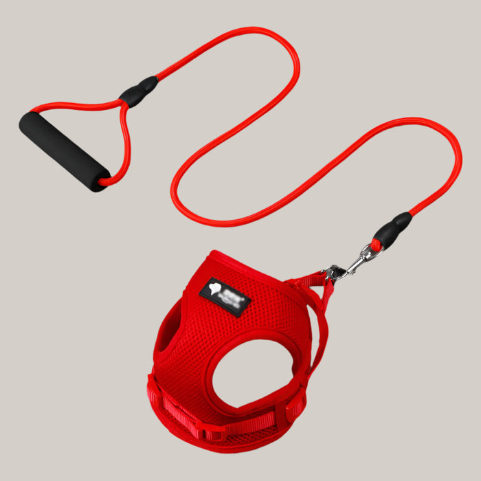 Dog Collar and Leash Set Red Large