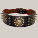 Studded Dog Collar Black