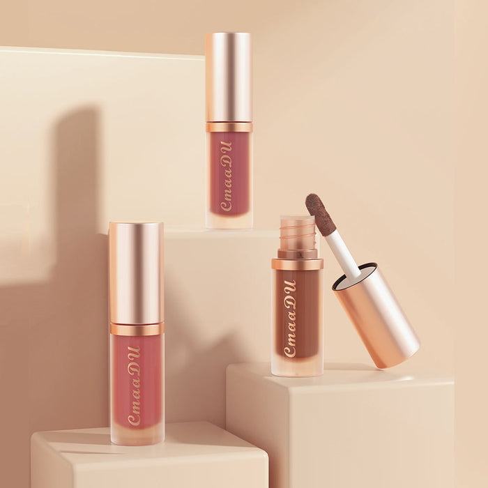 12-color Lipstick Velvet Lip Gloss