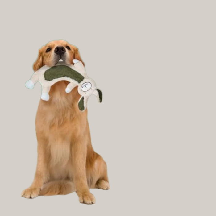 Stuffing-Free Crinkle Dog Toy