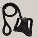Dog Harness and Leash Set Black