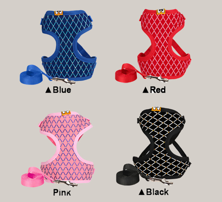 Leash for Dogs and Cats