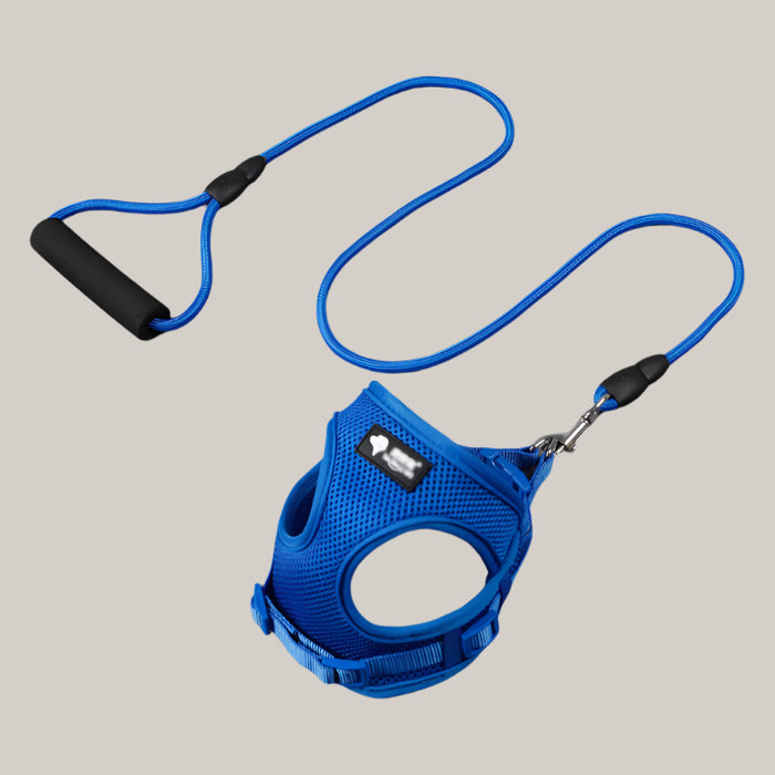 Dog Collar and Leash Set Blue Large