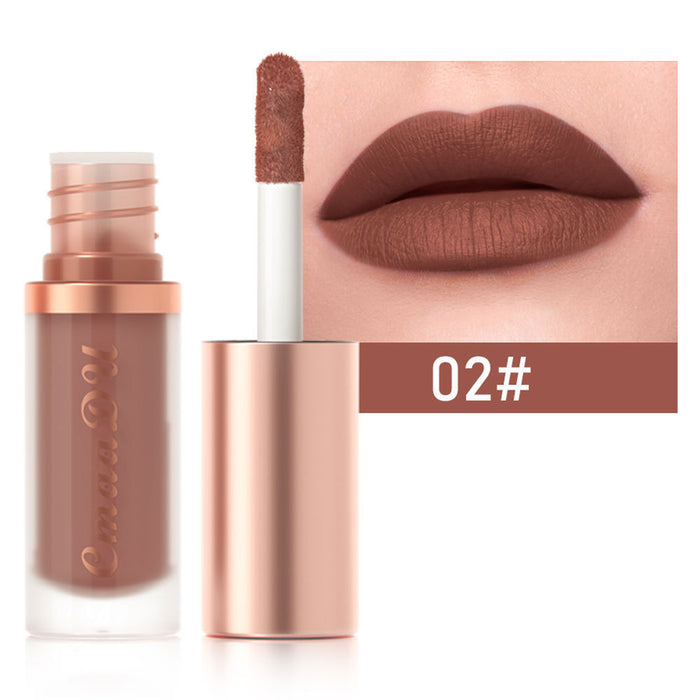 12-color Lipstick Velvet Lip Gloss