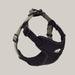 Dog Collar and Walking Leash Set