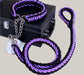 Everyday Dog Collar Black Purple