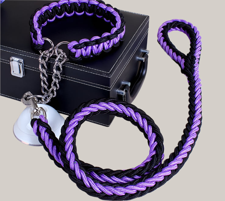 Everyday Dog Collar Black Purple