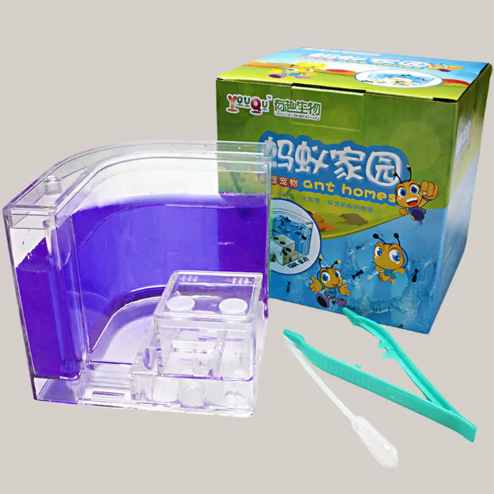 Ant Workshop Toys Purple