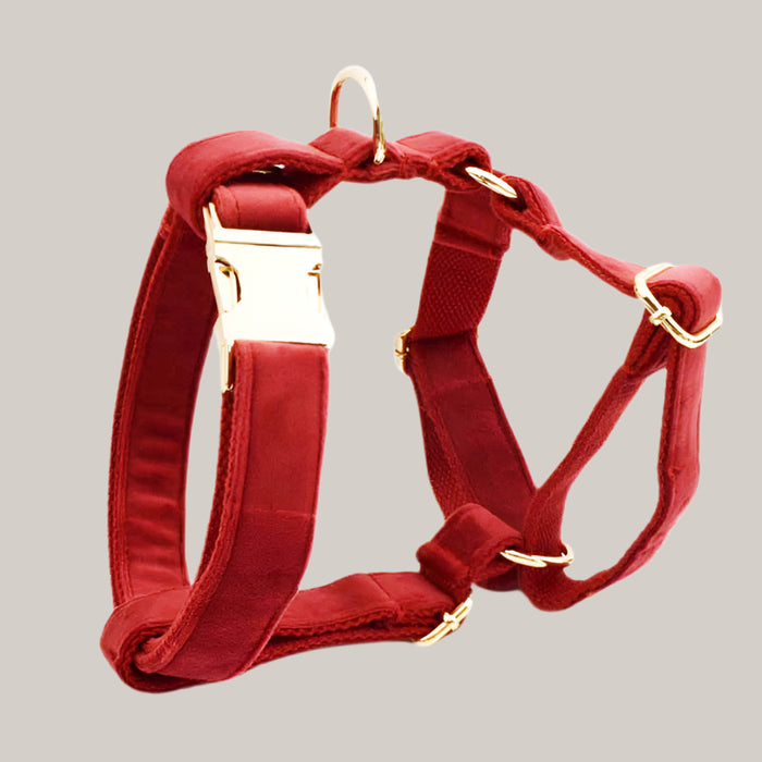 Dog Collar with Leash Attachment Dog Vest