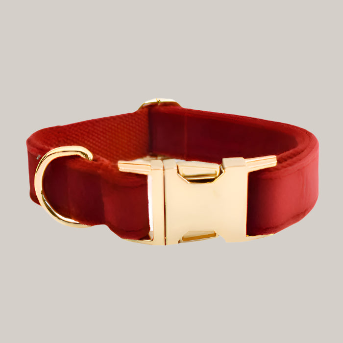 Dog Collar with Leash Attachment Dog Collar