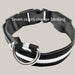 Luminous Dog Collar with ID Tag Colorful