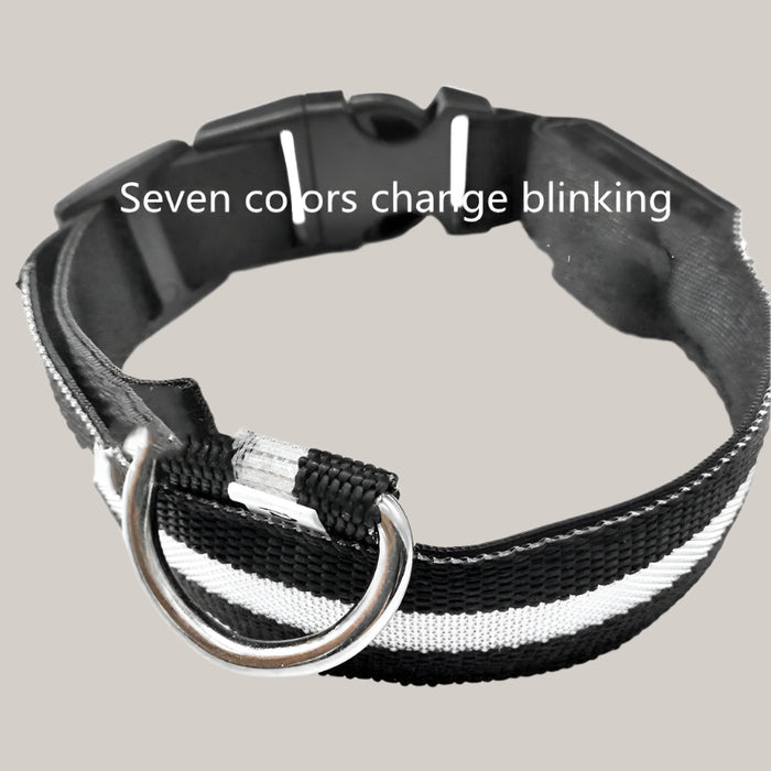 Luminous Dog Collar with ID Tag Colorful