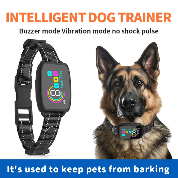 Automatic Dog Collar