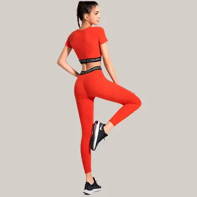Gym running tights Orange