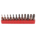 12-Piece Torx Bit Set – T6–T40, Hollow or Solid Hollow