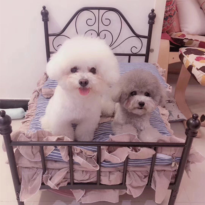 Dog and Cat Bed