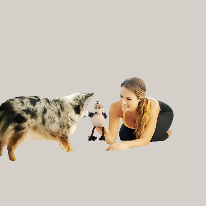 Stuffing-Free Plush Dog Toy
