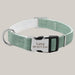 Personalized Dog Collar with ID Tag Green