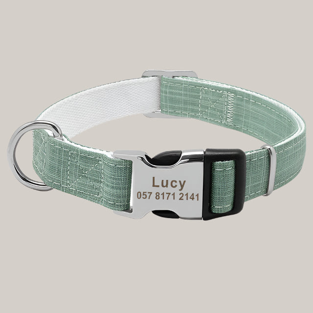 Personalized Dog Collar with ID Tag Green