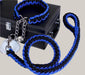 Everyday Dog Collar Black Blue
