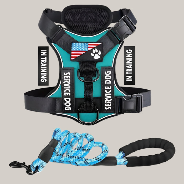 Dog Chest Harness and Leash Set Green