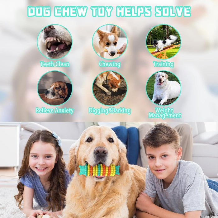 Outdoor Dog Toys For Entertainment