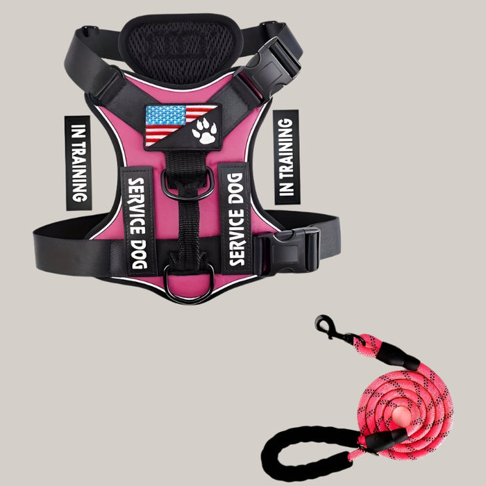 Dog Chest Harness and Leash Set Rose Red