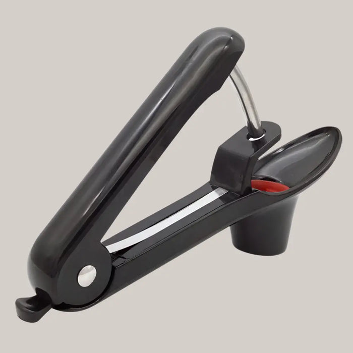 Handheld Stainless Steel Cherry and Olive Pitter