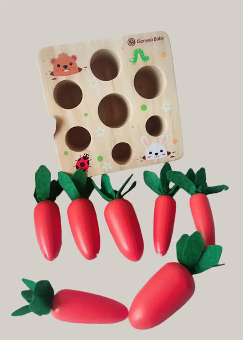 Educational toys