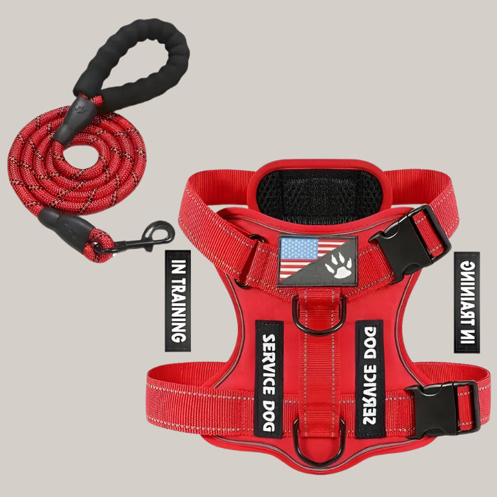 Dog Chest Harness and Leash Set Red