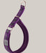 P-Chain Dog Walking Collar Reflective purple