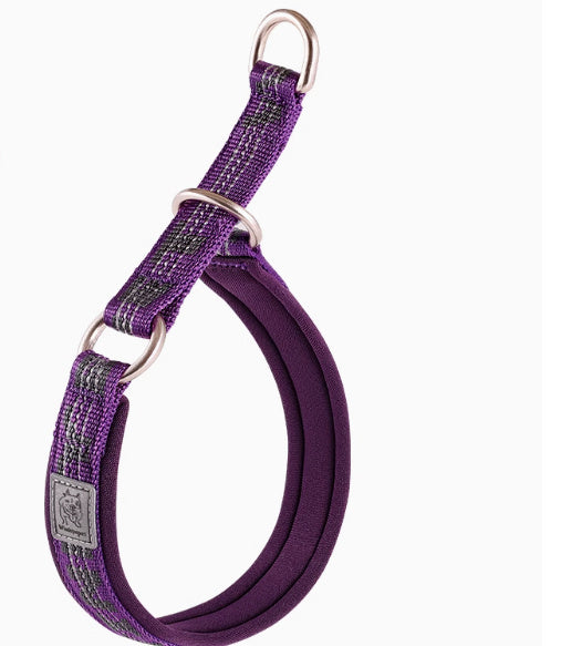 P Chain Dog Walking Collar