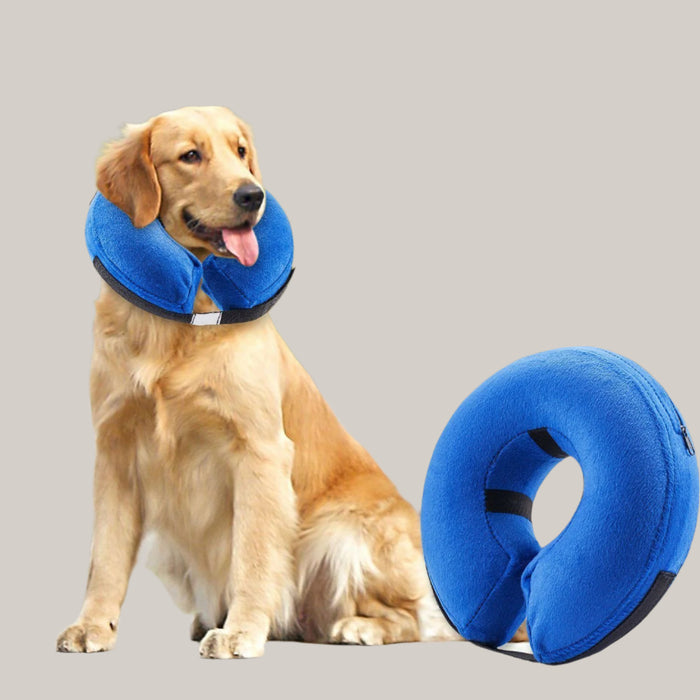 Protective Inflatable Collar for Dogs and Cats