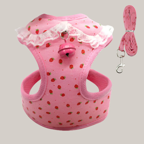 Everyday Dog Leash Pink